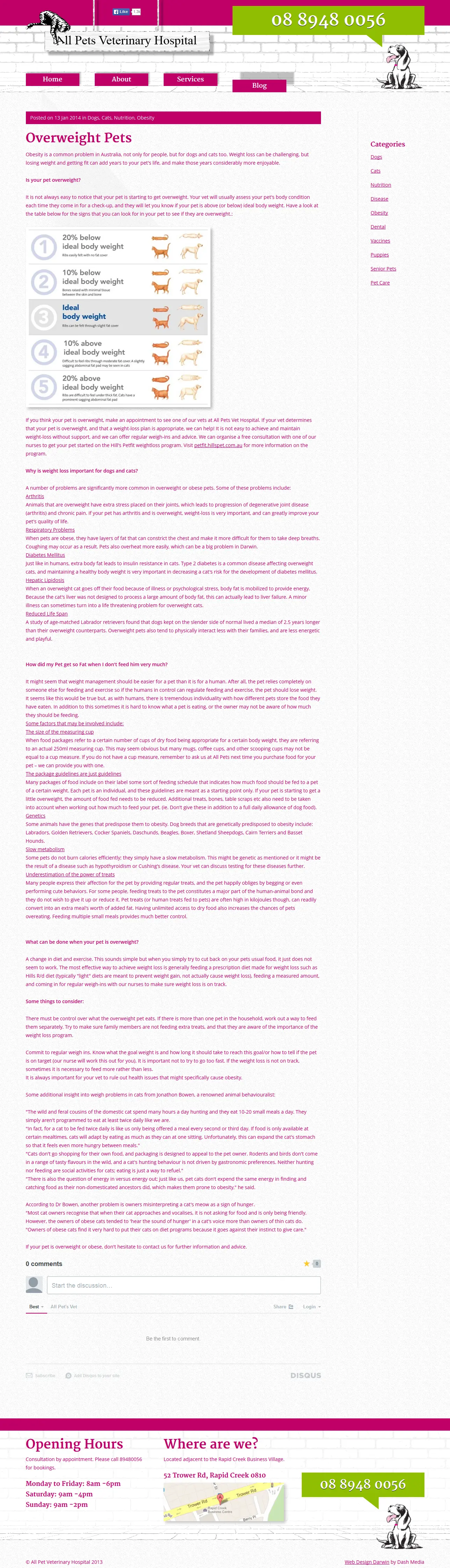 Страница блога