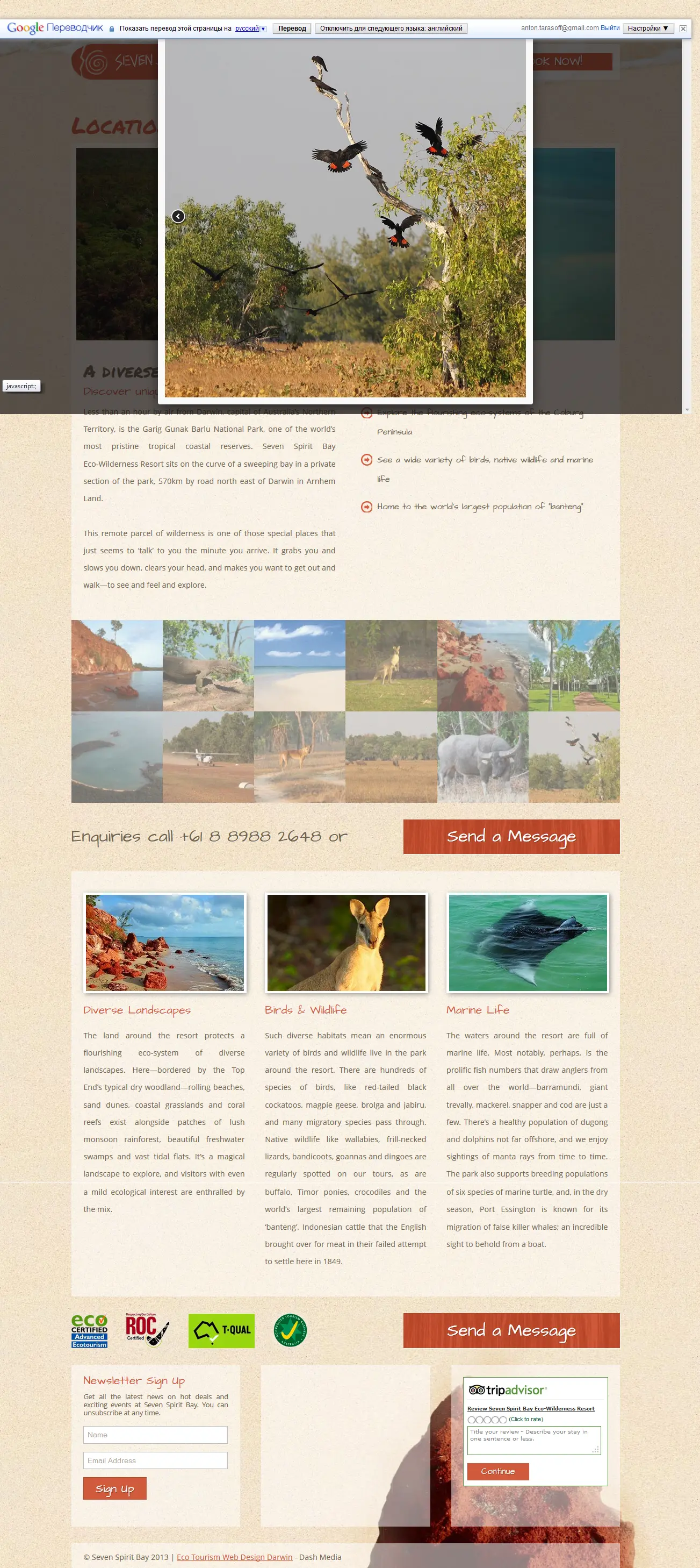 Элемент галереи